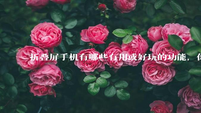折叠屏手机有哪些有用或好玩的功能，你过去不理解，现在离不开？