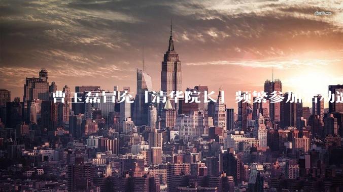 曹玉磊冒充「清华院长」频繁参加活动遭官方打***，他为何能堂而皇之以***身份开展活动？其将受到哪些处罚？