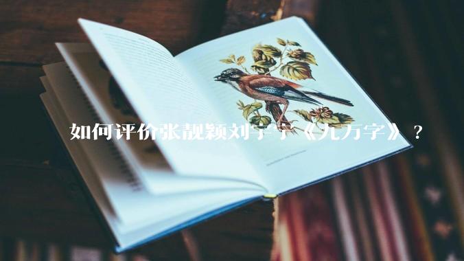 如何评价张靓颖刘宇宁《九万字》?