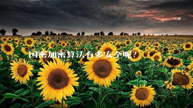 国密加密算法有多安全呢？