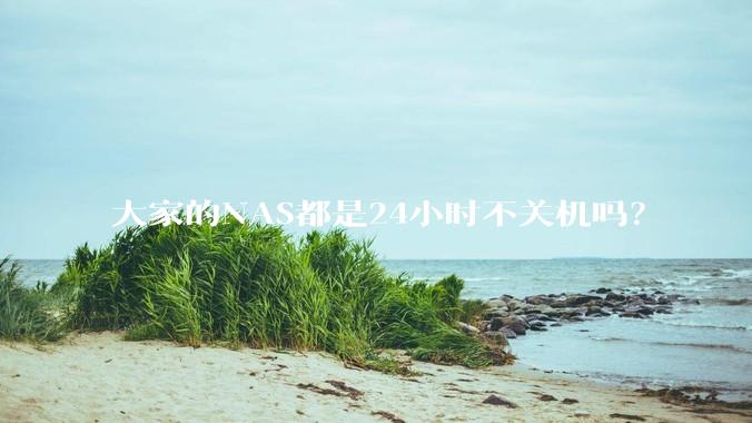 大家的NAS都是24小时不关机吗？