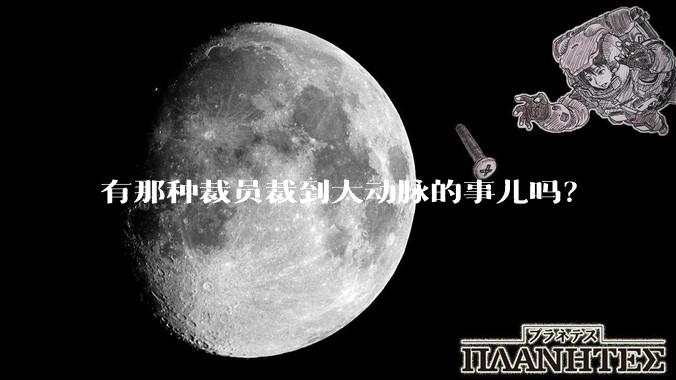 有那种裁员裁到大动脉的事儿吗？